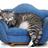 Alicia_reraiter