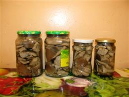 Вешенки, маринованные в домашних условиях.