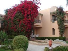 Ali Baba Palace