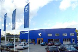 Peugeot-Патриот Авто