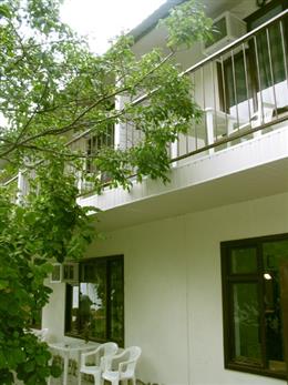 Кипарис