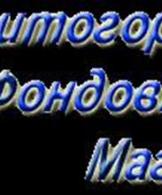 Магнитогорский Фондовый Магазин