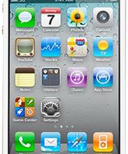 Apple iPhone 4S 16GB кожа американской жабы