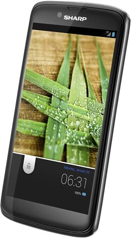 Sharp SH631W