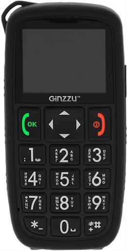 Ginzzu R31 Dual